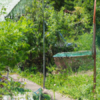 Schrebergarten